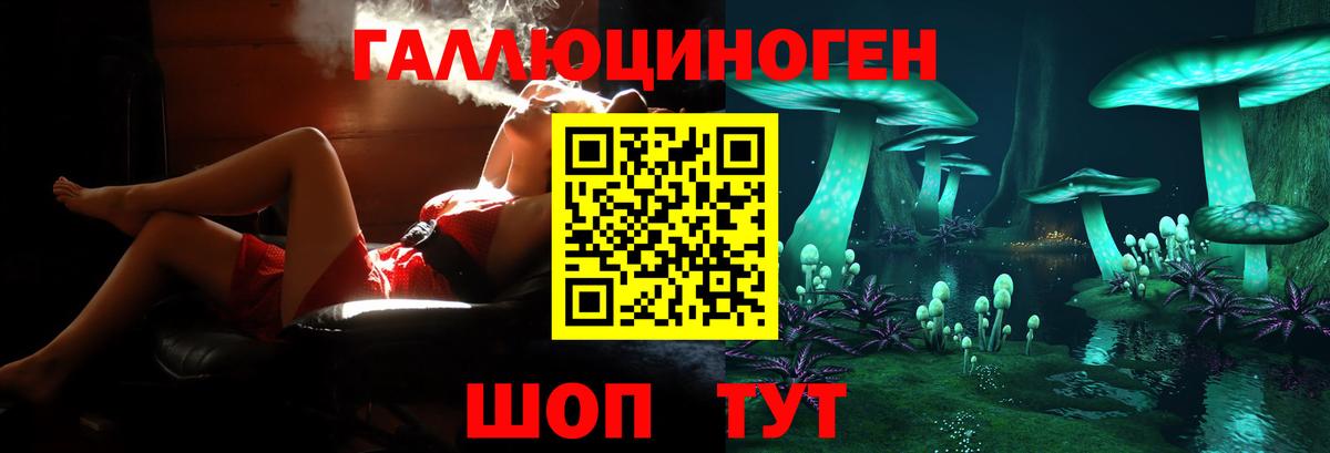 Грязи  Галлюциногенные грибы Psilocybine cubensis  Вход с VPN  Псилоцибиновые грибы GOLDEN TEACHER 