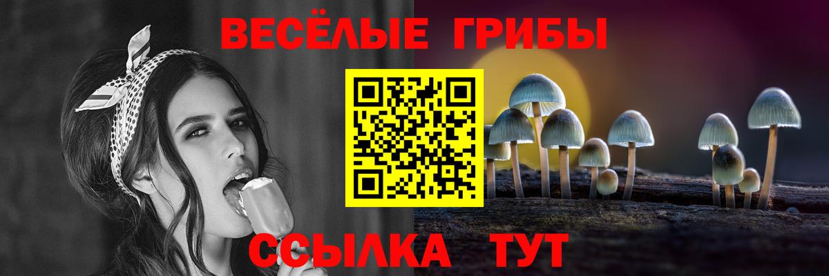 Псилоцибиновые грибы Psilocybe Грязи